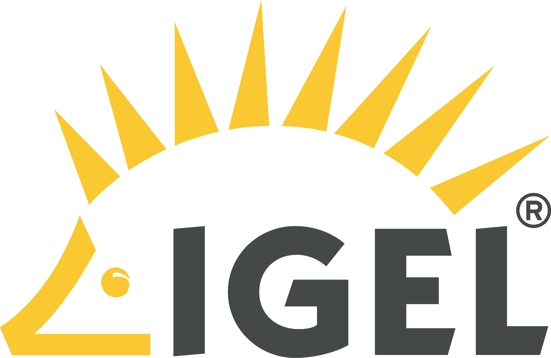 IGEL logo